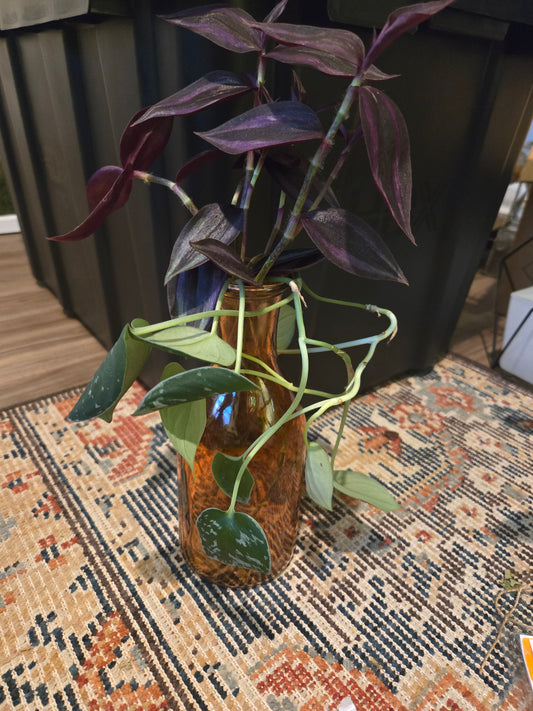 Orange Green and Purple Arrangement