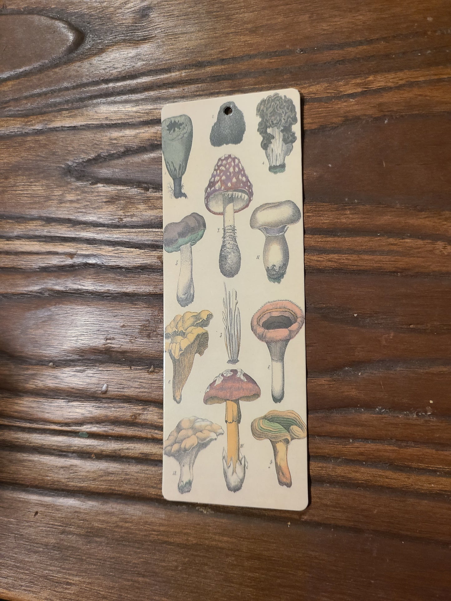 Vintage and Nature Themed Bookmarks