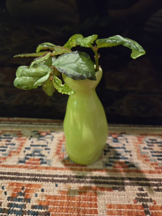 Green Mini