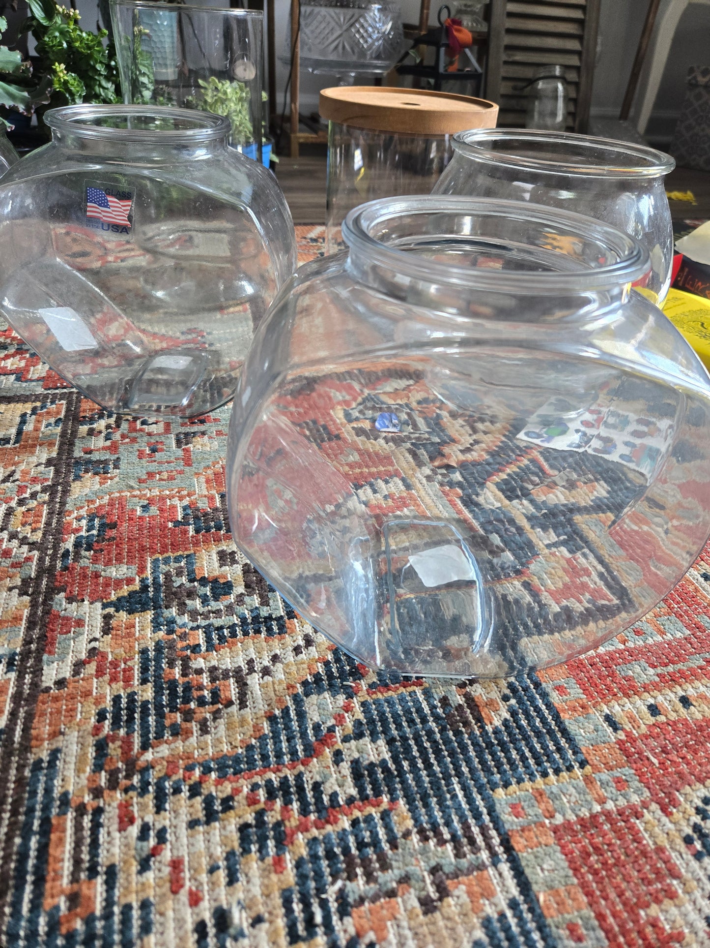 Terrarium Class pt 2