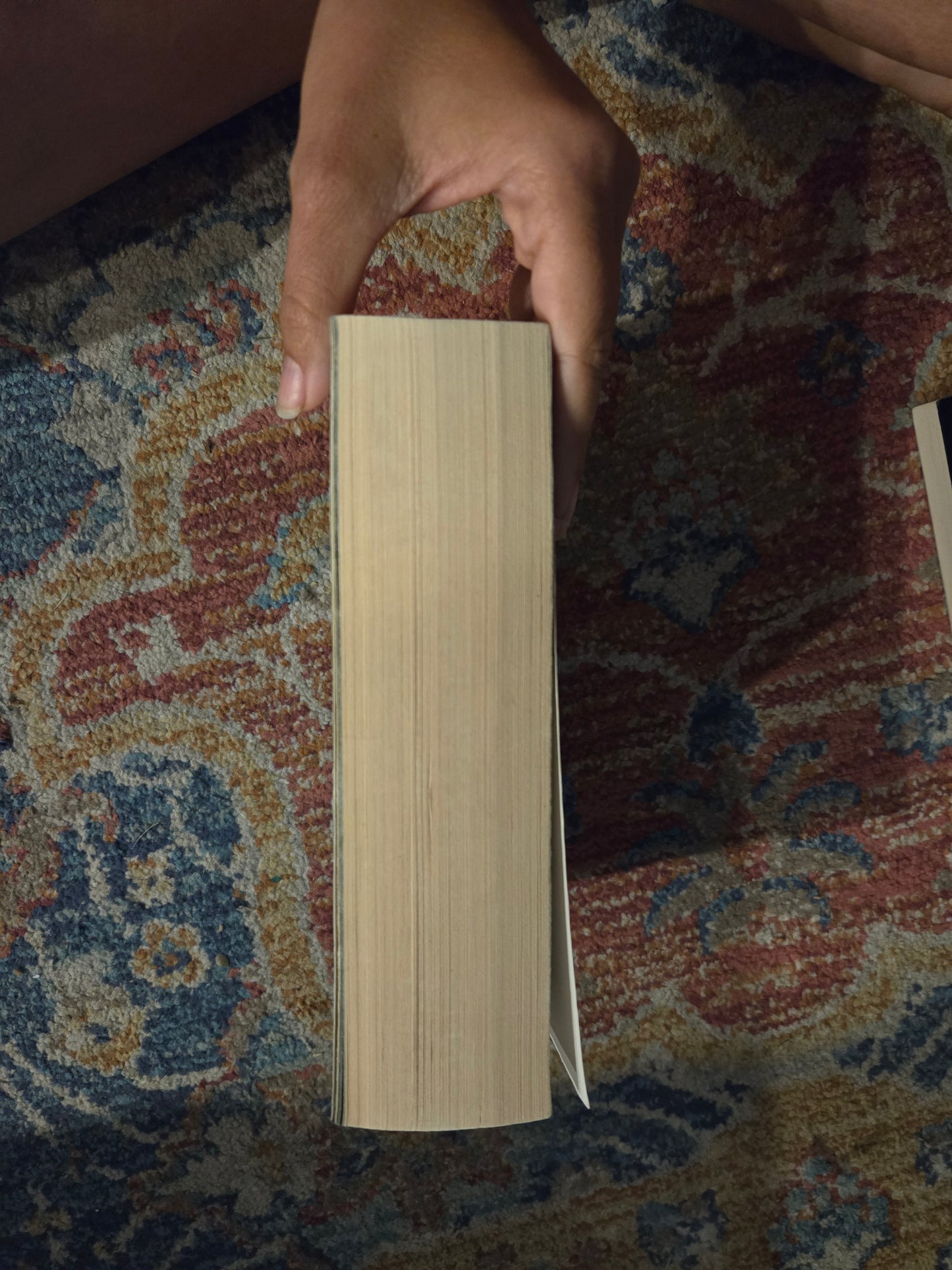 OOP Paperback A Court of Wings and Ruin by Sarah J Maas