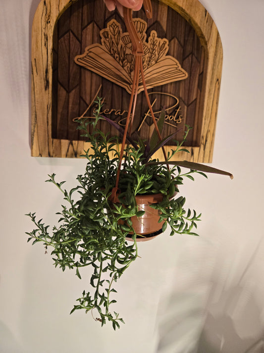 "String of" Handing Basket
