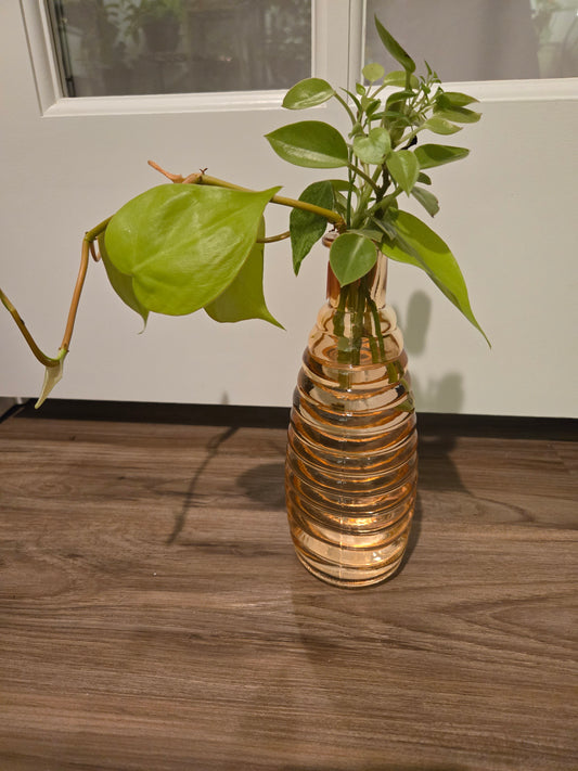 Orange Vase Arrangement
