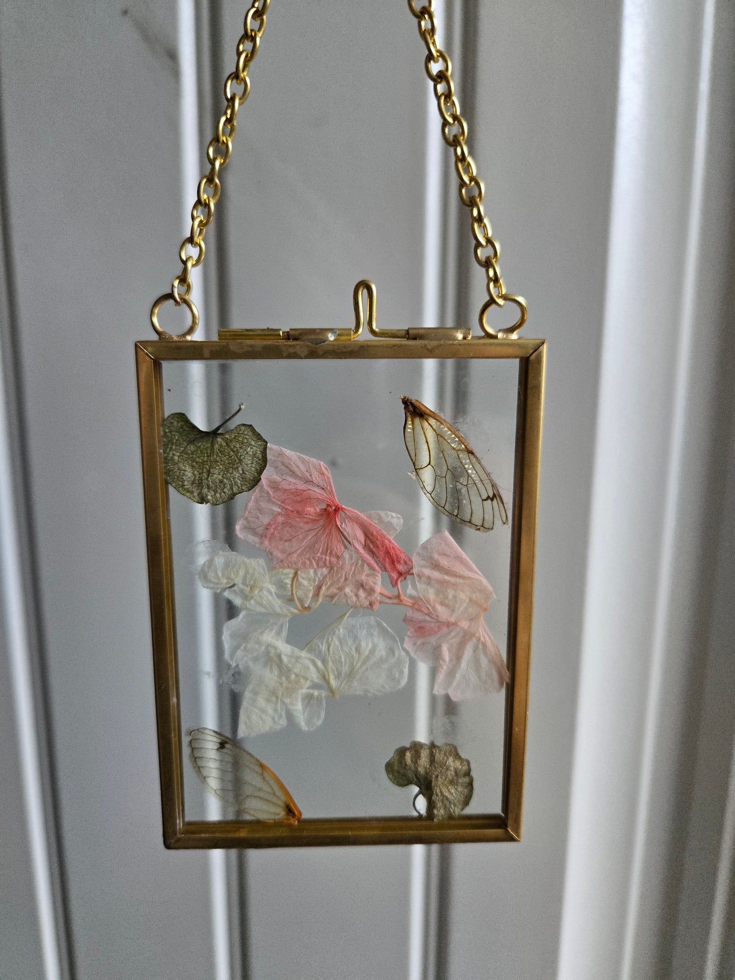 Pressed Plant Glass Window Hanging w/ Wings