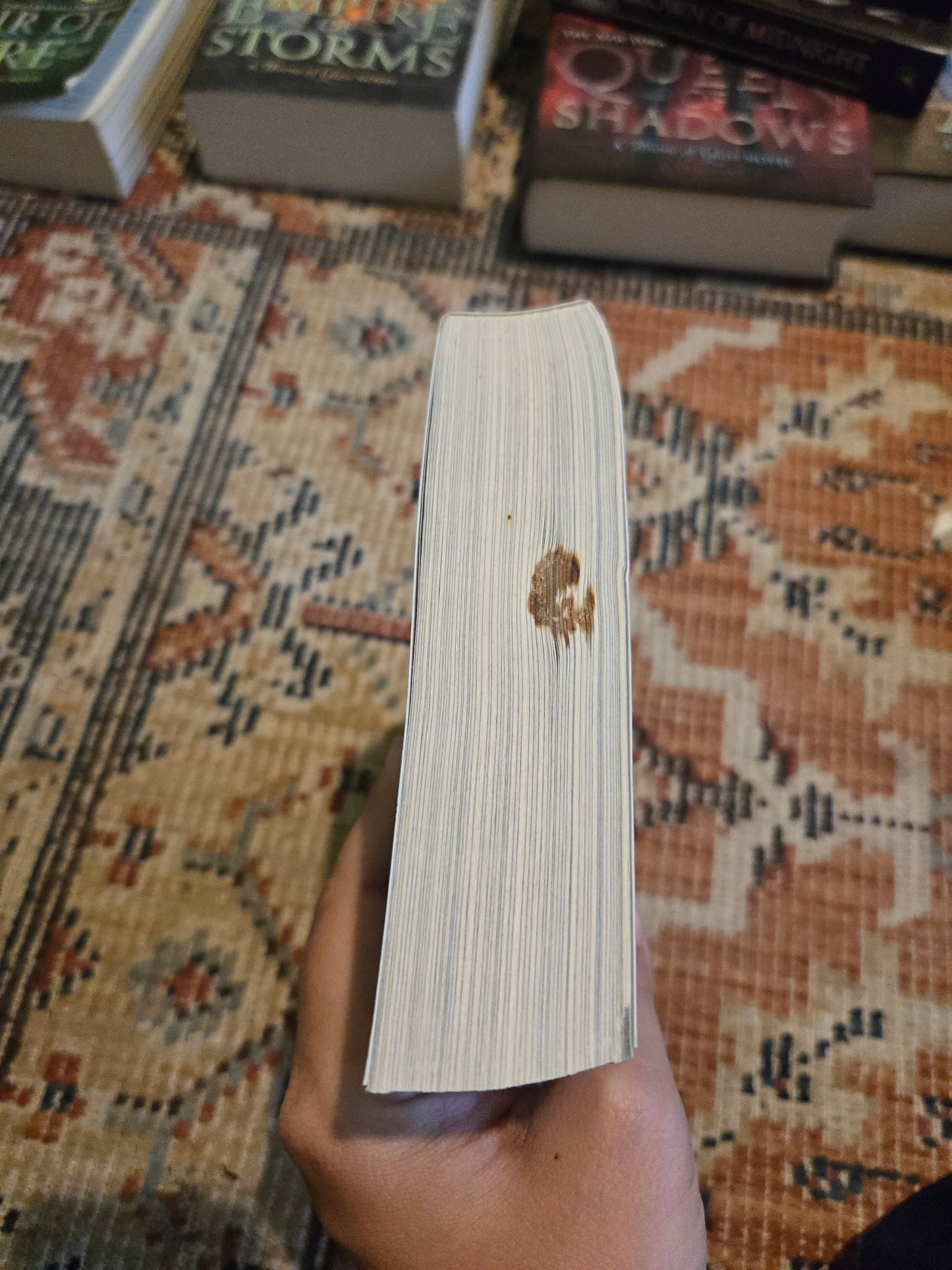 OOP The Assasins Blade by Sarah J Maas
