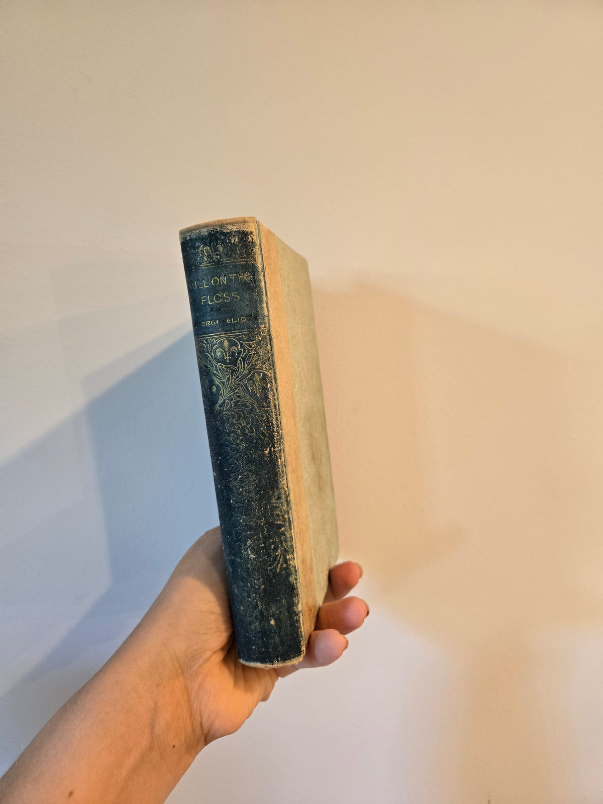 The Mill on the Floss by George Eliot