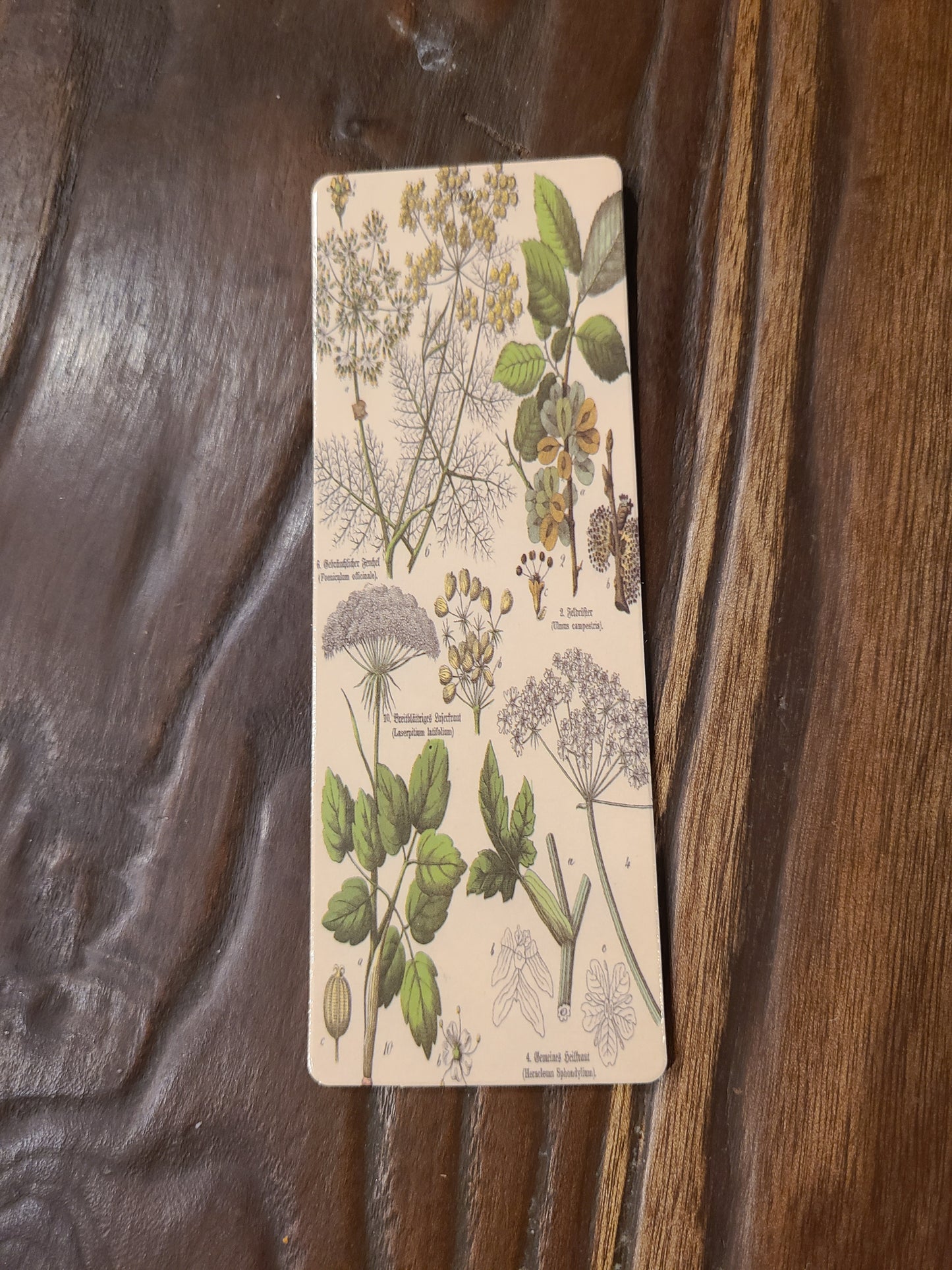 Vintage and Nature Themed Bookmarks