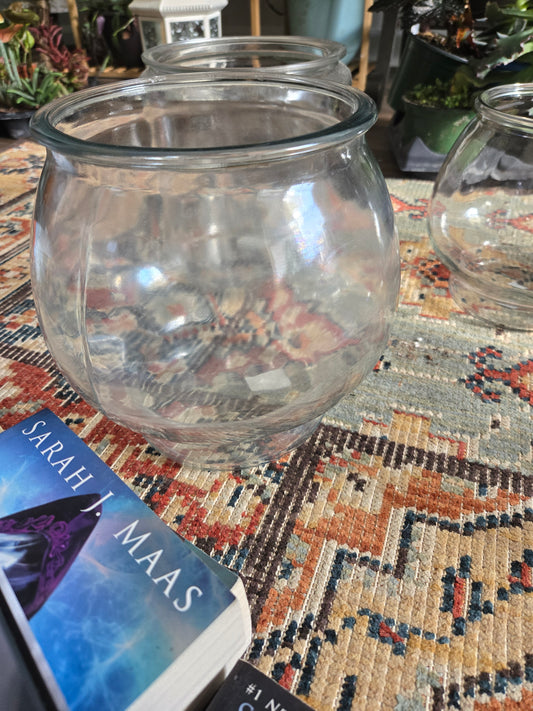 Terrarium Class pt 3