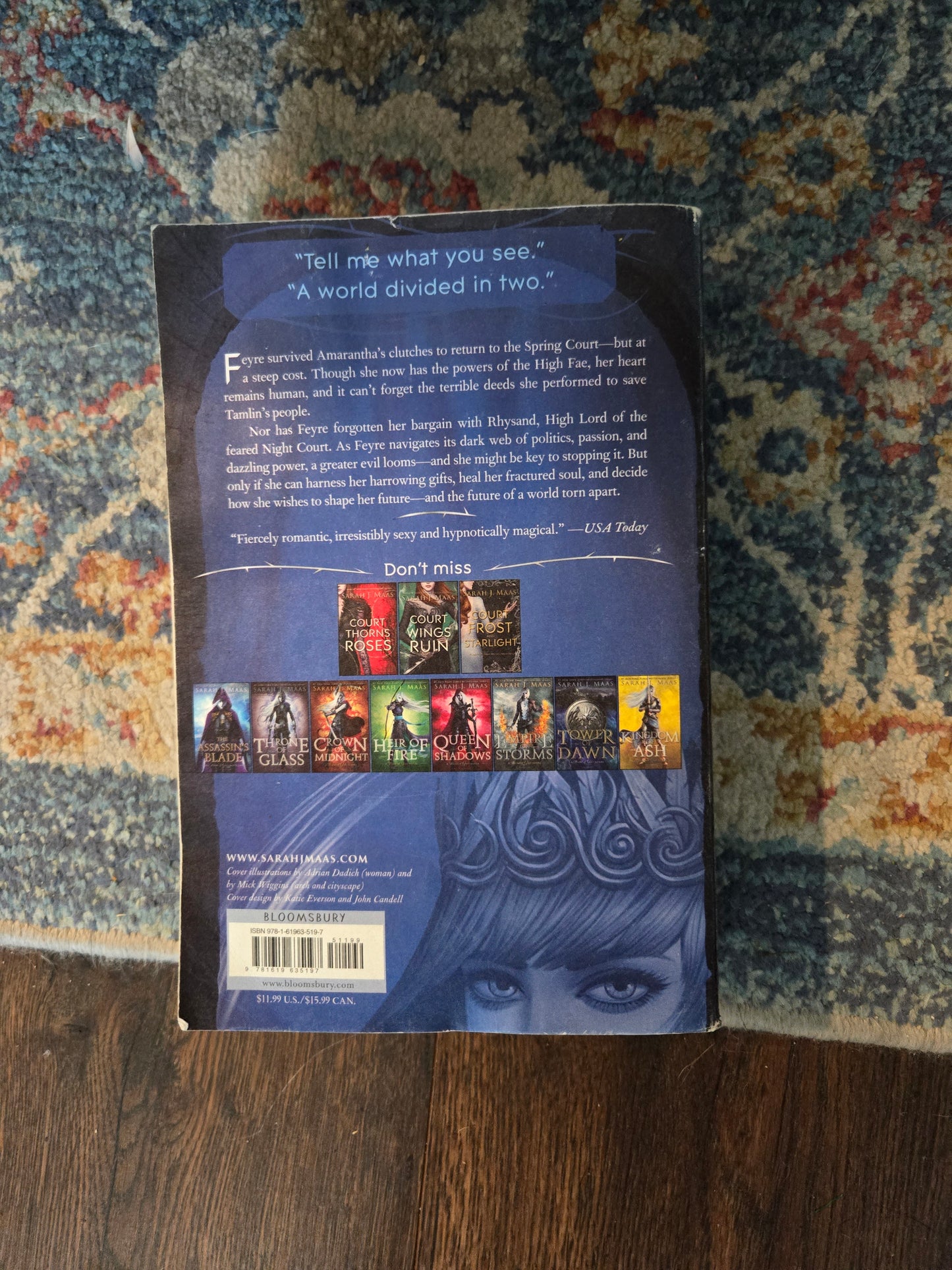 OOP Paperback A Court of Mist and Fury by Sarah J Maas