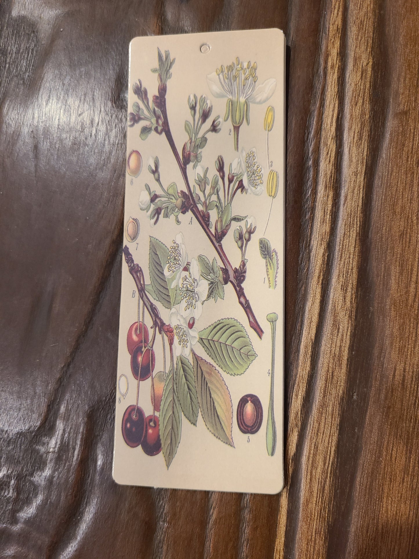 Vintage and Nature Themed Bookmarks