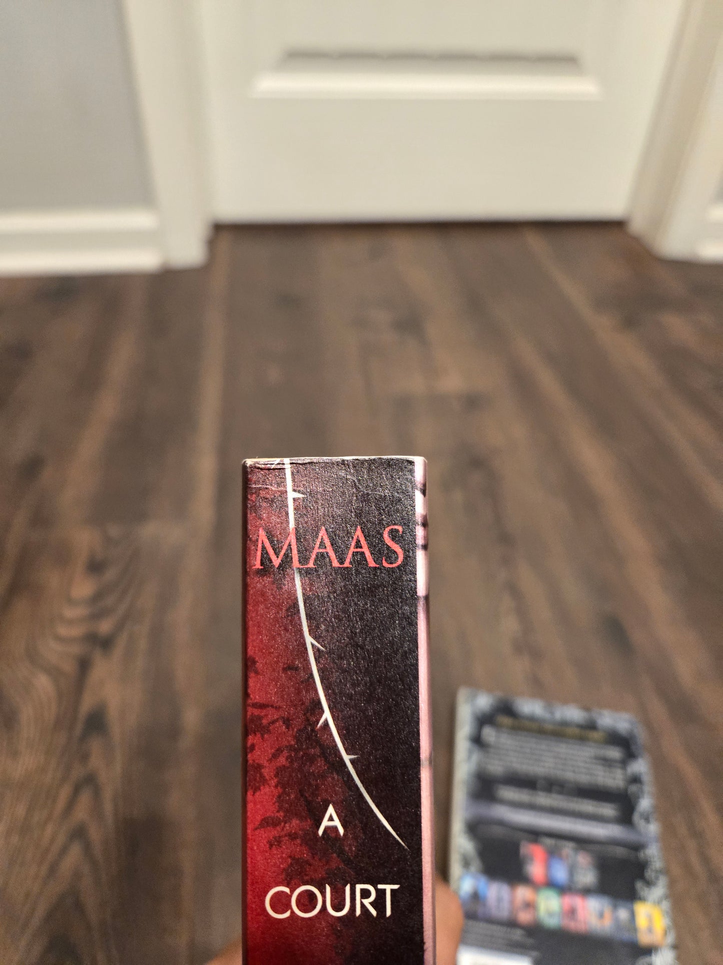 OOP A Court of Thornes and Roses by Sarah J Maas