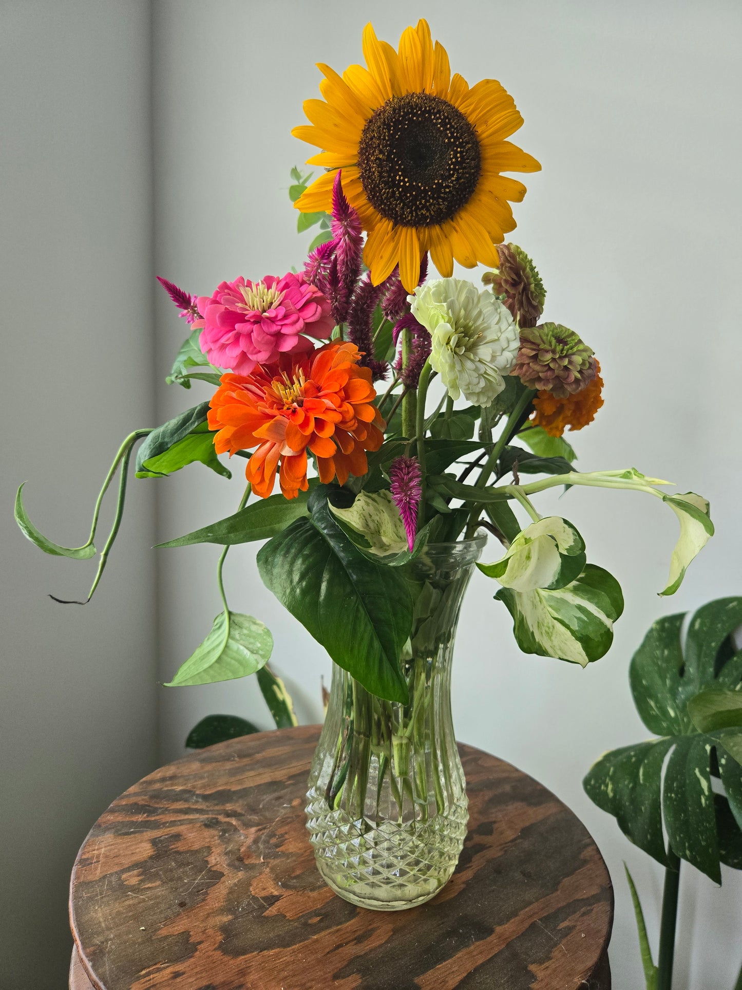 Custom Propagable Bouquet