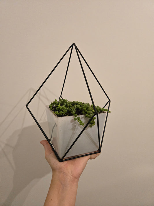 String of tears in Unique Planter