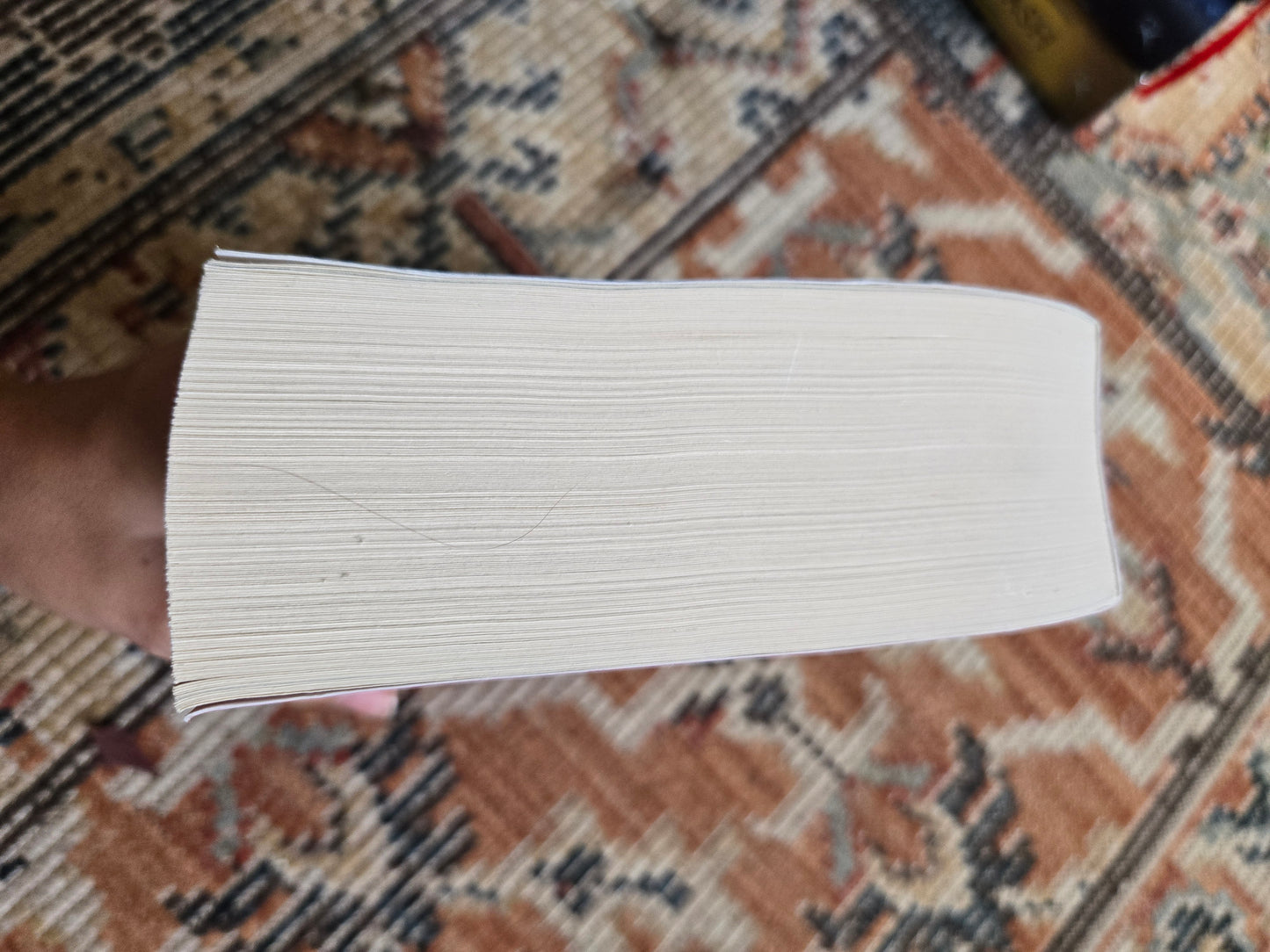 House of Earth and Blood by Sarah J Maas