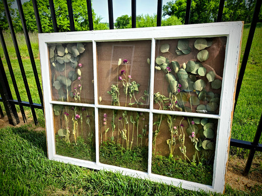 Dried Flower Wall Hanging