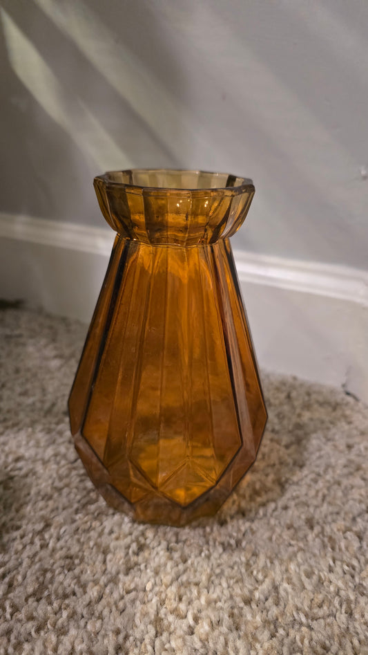 Amber plant arrangement