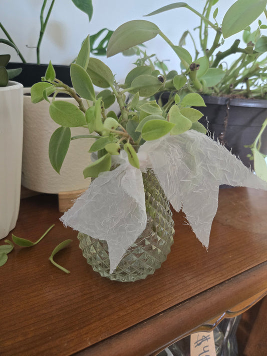 Diamond and White Arrangement