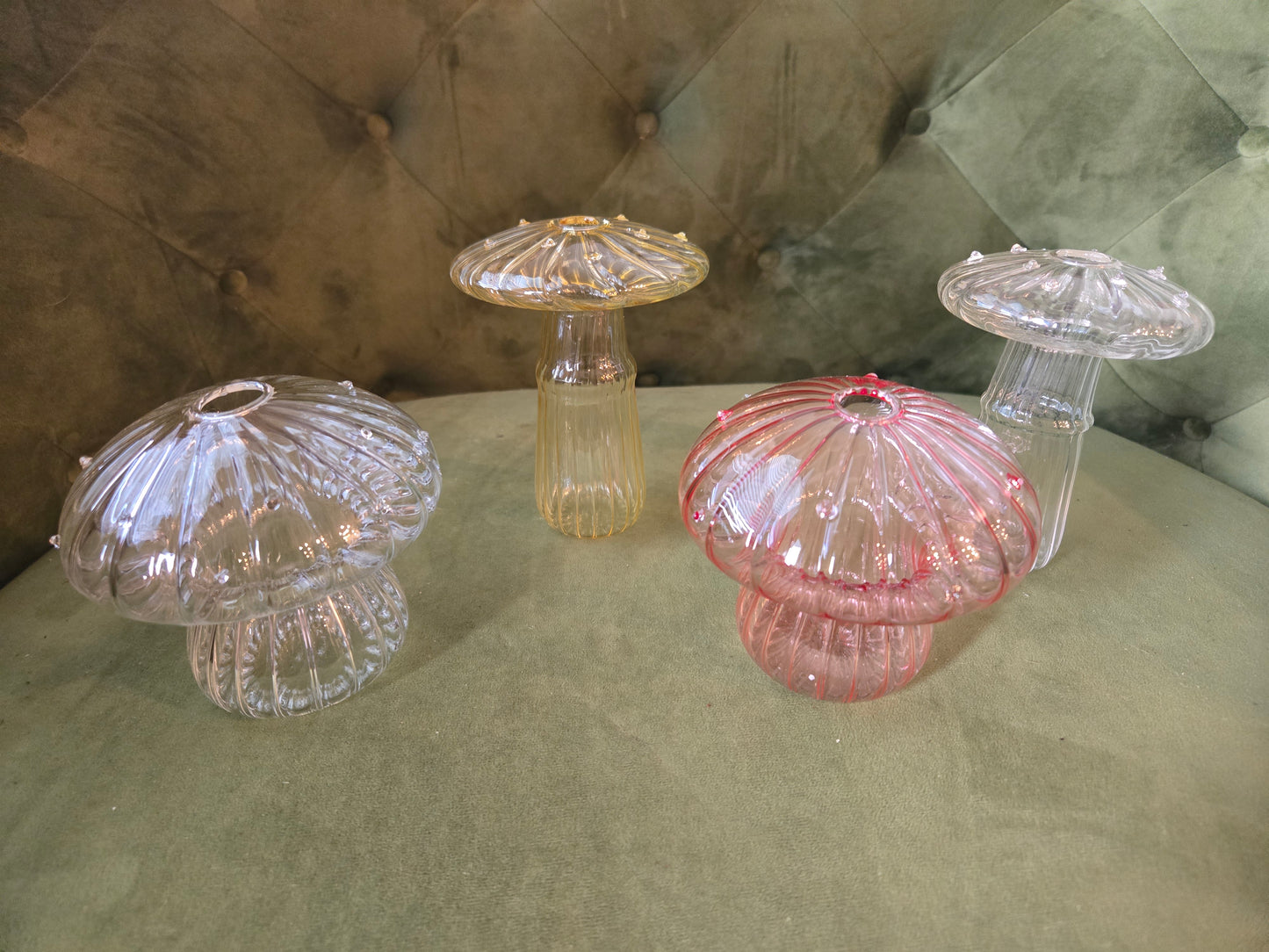 Mushroom Propagation Containers With Plant Start