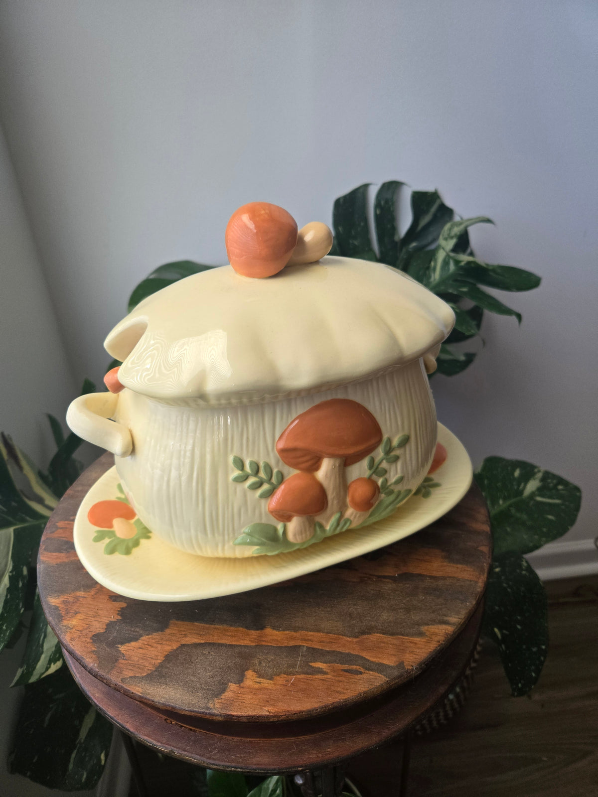 Arnels Mushroom Soup Tureen