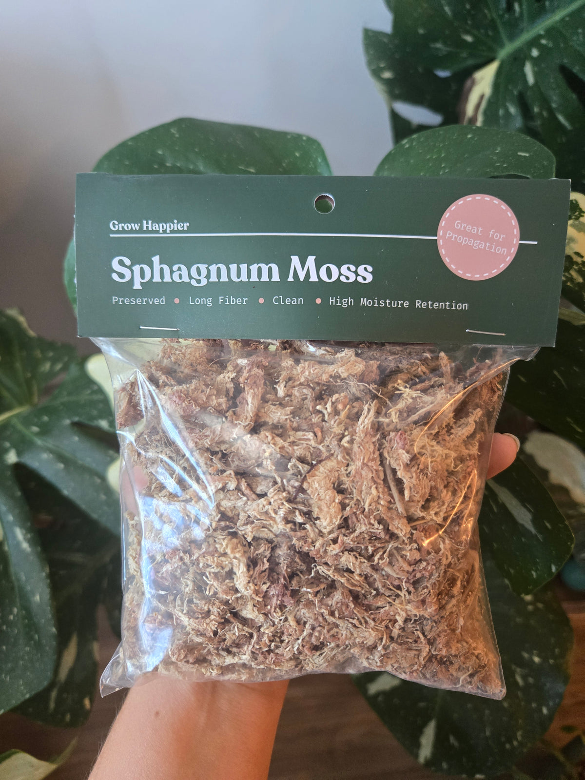 Sphagnum Moss